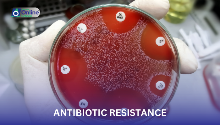Lesson 13: Antibiotic Resistance